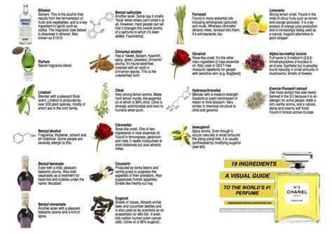 The Ingredients of Chanel No. 5 